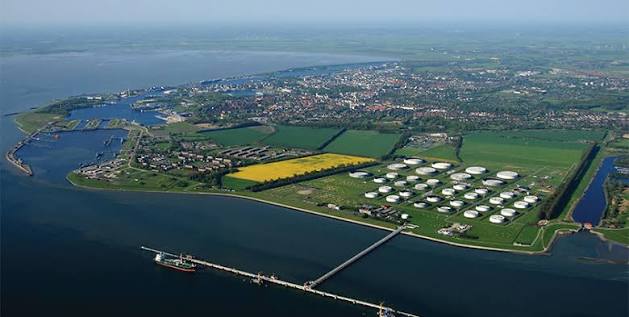 Pelorus Terminals stakeholder engagement and industry collaboration